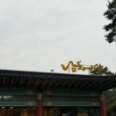 남도예담IN벨포레 | 충북 증평 벨포레리조트 후기 조식 / 남도예담 / 미디어아트센터