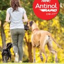 행복한강아지와고양이 | 안티놀 래피드 강아지 고양이 관절 슬개골 영양제 관절건강 후기