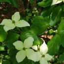 이마당약수터 이미지