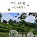 보성 녹차밭 다향아트밸리 아이랑 가볼만한곳