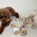 프레젠독(present dog) | (동탄 영천동) 동탄 수제 간식 맛집 프레젠독 후기