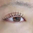 다봄뷰티 이미지