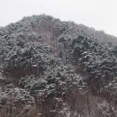 소백산 설경 산행(24. 2. 7) 이미지