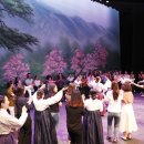 진도토요민속여행 상설공연 이미지