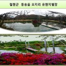 별장팬션