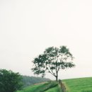 양떼목장 이미지