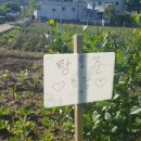 석민농장 이미지