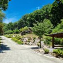 산삼자연휴양림(함양) 이미지