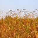 군문 주공 삼거리 이미지