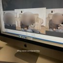 사진스튜디오라이팅(심화) | [인천 부평] 셀프 사진관 스튜디오 킨들 방문후기 -강아지 동반 가능, 원본제공(내돈내산)