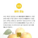 황금과일 이미지