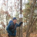 화목재 Daum카페