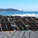 주전어촌체험마을 이미지