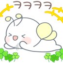 더(The)예쁜머리