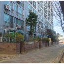 보성테니스장 네이버블로그