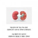 최근 많이 처방되고있는 당뇨신약 이미지