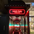 신상곡 | 어덜트온리바 신사동 바_칵테일마시기 좋은 라운지