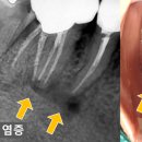 서울바정치과의원 이미지