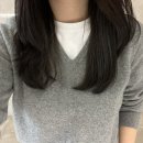 헤일리벌룬 | 💸소비일기💸 : 내 옷장 점령한 모아니와 노멜렛 기타등등 [직장인의 오래입어템...결론은 노멜렛 최고~]