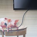 오마이투어 이미지