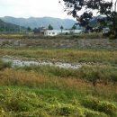 펜션헤브론 이미지