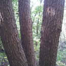 큰골짜기농장 이미지