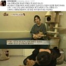 현농장2 이미지