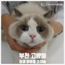 중동우리아이동물병원 이미지