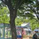인천대공원 동물원 자전거대여 서울 근교 여행 후기