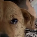 연세 태권도 이미지