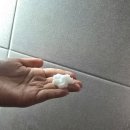 머리향기 | 올리브영 헤어 트리트먼트 추천! 바디브 미오 트리트먼트 후기, 상한 염색머리에 향기까지 완벽