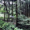 숲커피숍 이미지