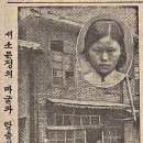 경성농장 티스토리
