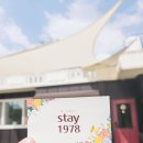 스테이1978 이미지