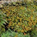 금산1구 이미지