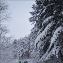 섬진강 발원지 천상 데미산(1.055m)과 진안고원 , 덕태산(1,101m)심설산행 이미지