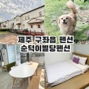 비자림힐링펜션 | 제주 구좌읍펜션 순덕이별당펜션 비자림 근처 숙소