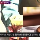 스타벅스추천메뉴 스타벅스신메뉴 카페라테 올레아토 스타벅스불만폭주 국민비즈티비 설윤지기자 스벅 스타벅스신메뉴 이미지