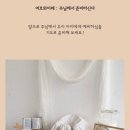 명 상 | 광주 백일상 대여! 1만명이 선택했다는 내돈내산 후기:)