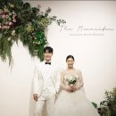 분당-17 이미지
