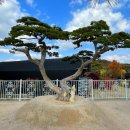 명품펜션갤러리 이미지