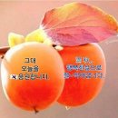 11월19일(금요일)간추린뉴스 이미지