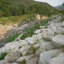 백운산 캠핑장 이미지