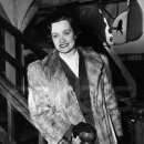 대지의 노래 이미지