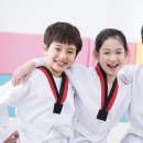 전인태권도교육관 이미지