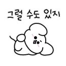 파슬리브런치 이미지