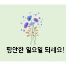 여수알파약국 이미지