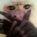 청산도 돌담민박 이미지