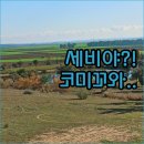 네 바퀴와 함께 동행 | 그냥 지나칠 뻔한 이야기 코미꼬와 함께 발견한 세비야