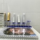 건대스테이 | 건대속눈썹연장 후기｜앳던뷰티 롱스테이 솔직 리뷰